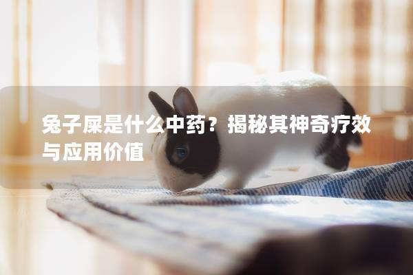 兔子屎是什么中药？揭秘其神奇疗效与应用价值