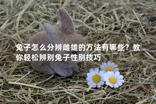 兔子怎么分辨雌雄的方法有哪些？教你轻松辨别兔子性别技巧