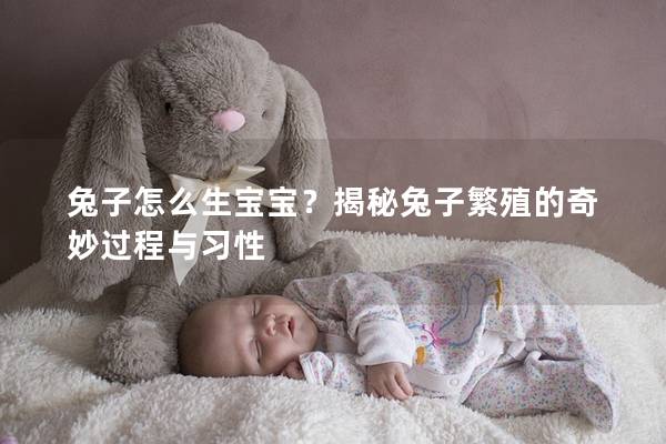 兔子怎么生宝宝？揭秘兔子繁殖的奇妙过程与习性