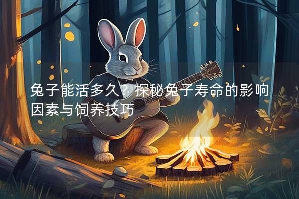 兔子能活多久？探秘兔子寿命的影响因素与饲养技巧