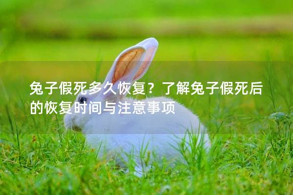 兔子假死多久恢复？了解兔子假死后的恢复时间与注意事项