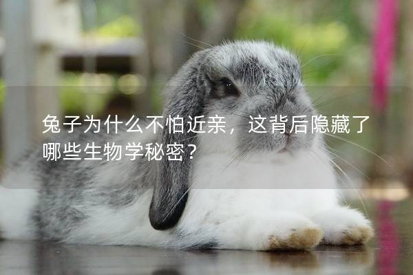 兔子为什么不怕近亲，这背后隐藏了哪些生物学秘密？