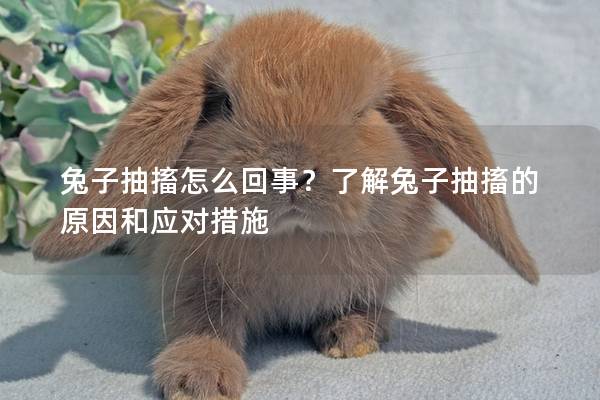 兔子抽搐怎么回事？了解兔子抽搐的原因和应对措施