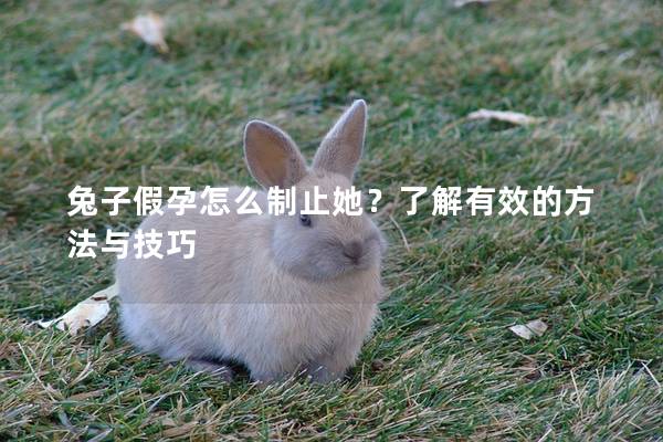 兔子假孕怎么制止她？了解有效的方法与技巧