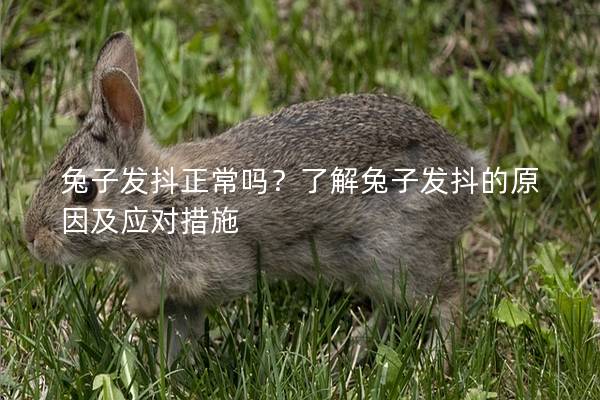 兔子发抖正常吗？了解兔子发抖的原因及应对措施