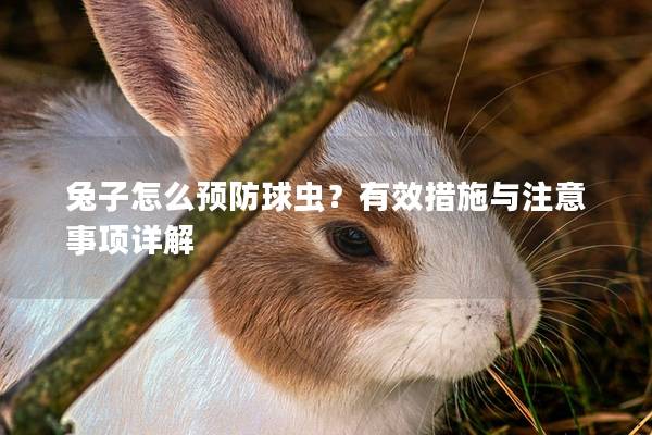 兔子怎么预防球虫？有效措施与注意事项详解