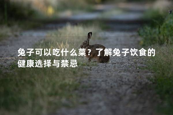 兔子可以吃什么菜？了解兔子饮食的健康选择与禁忌