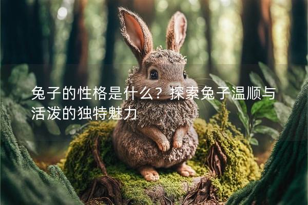 兔子的性格是什么？探索兔子温顺与活泼的独特魅力