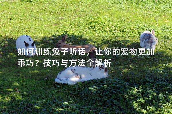 如何训练兔子听话，让你的宠物更加乖巧？技巧与方法全解析