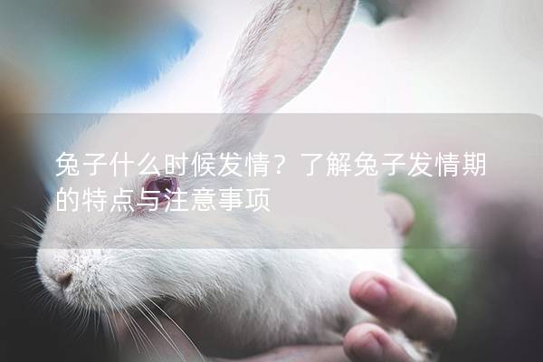 兔子什么时候发情？了解兔子发情期的特点与注意事项