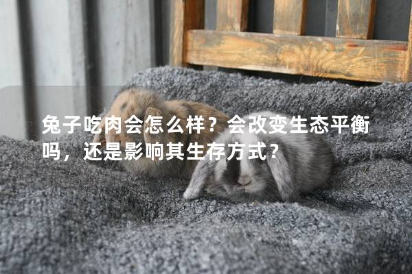 兔子吃肉会怎么样？会改变生态平衡吗，还是影响其生存方式？