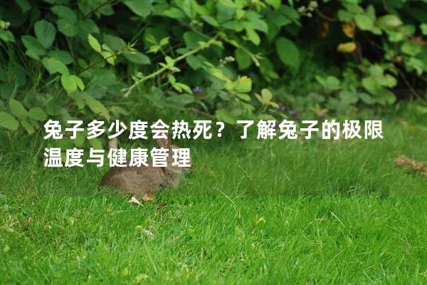 兔子多少度会热死？了解兔子的极限温度与健康管理