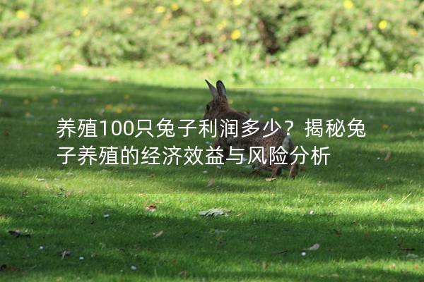 养殖100只兔子利润多少？揭秘兔子养殖的经济效益与风险分析