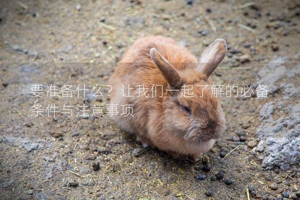 要准备什么？让我们一起了解的必备条件与注意事项