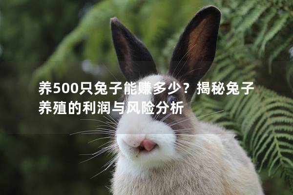 养500只兔子能赚多少？揭秘兔子养殖的利润与风险分析