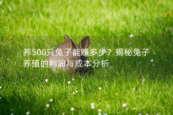 养500只兔子能赚多少？揭秘兔子养殖的利润与成本分析