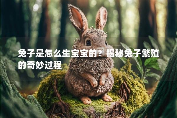 兔子是怎么生宝宝的？揭秘兔子繁殖的奇妙过程