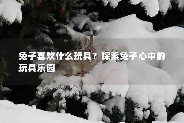 兔子喜欢什么玩具？探索兔子心中的玩具乐园