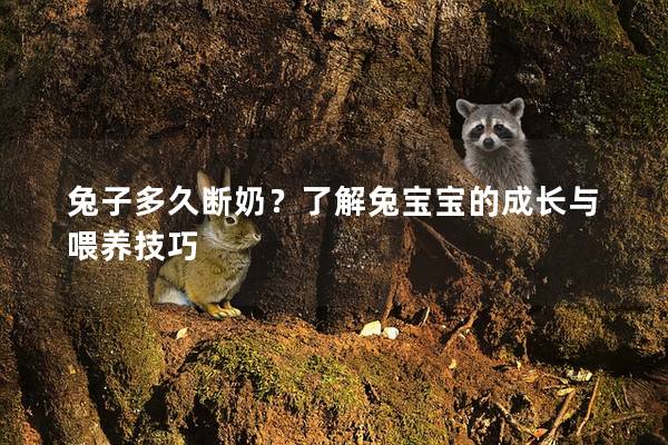 兔子多久断奶？了解兔宝宝的成长与喂养技巧