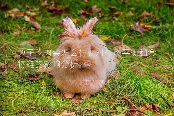 兔子吃肉会怎么样？对生态平衡和食物链的影响分析