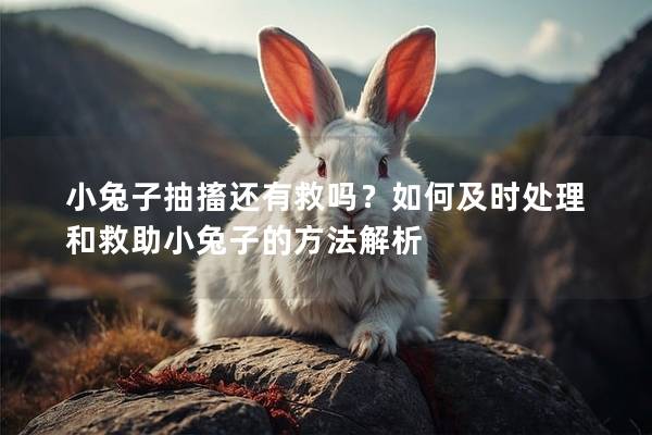 小兔子抽搐还有救吗？如何及时处理和救助小兔子的方法解析